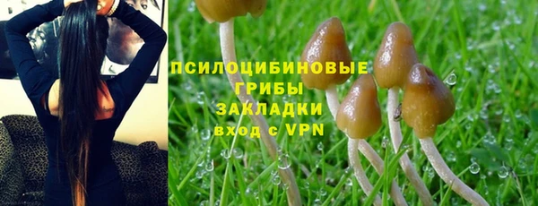 дмт Богородицк