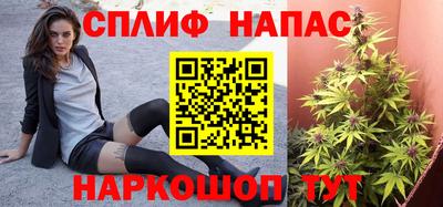 ешки Тула