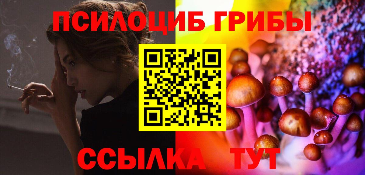 Галлюциногенные грибы прущие грибы  Вход с VPN  Псилоцибиновые грибы Cubensis  Пятигорск 